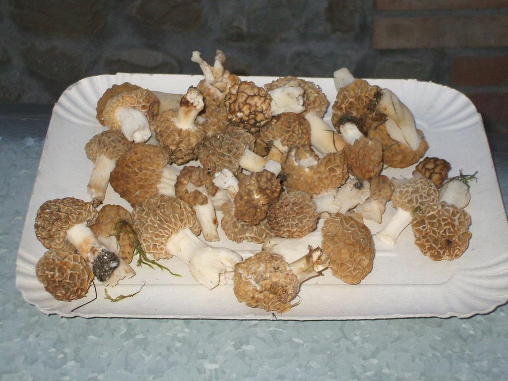 La Colombarola Agriturismo Farneto 外观 照片