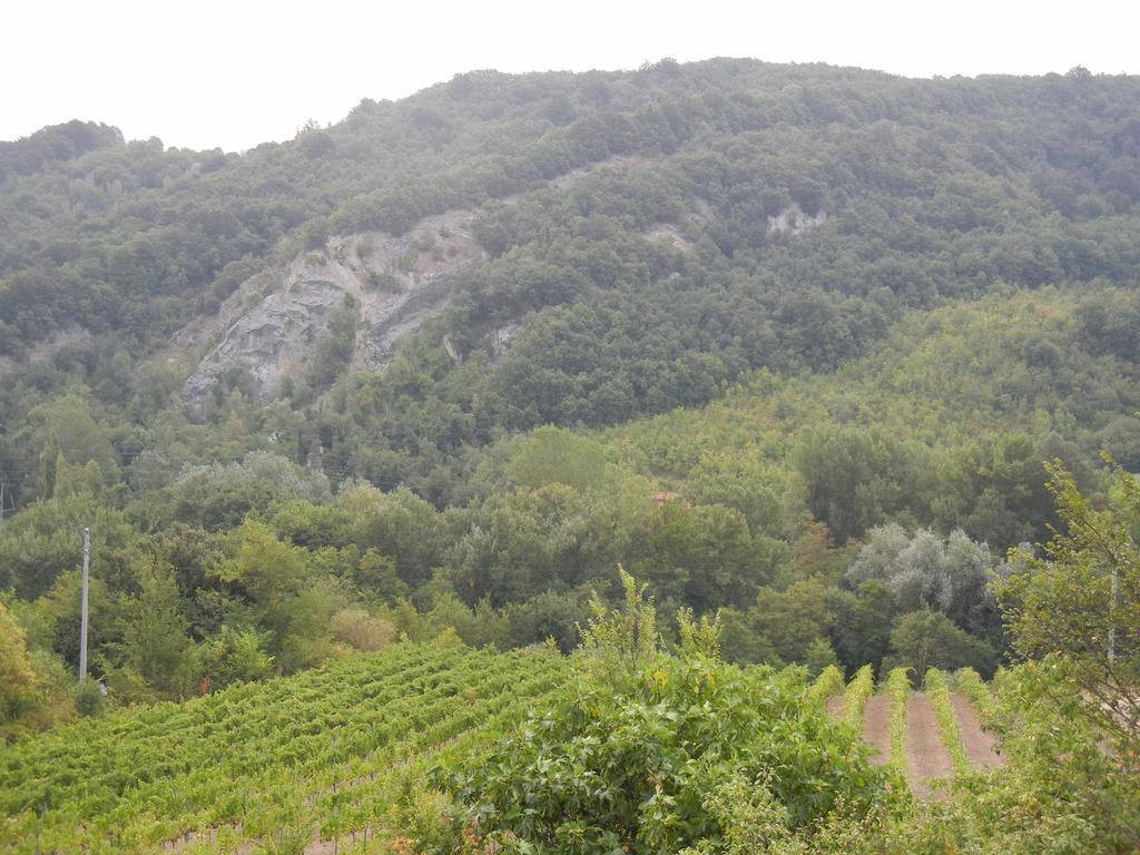 La Colombarola Agriturismo Farneto 外观 照片
