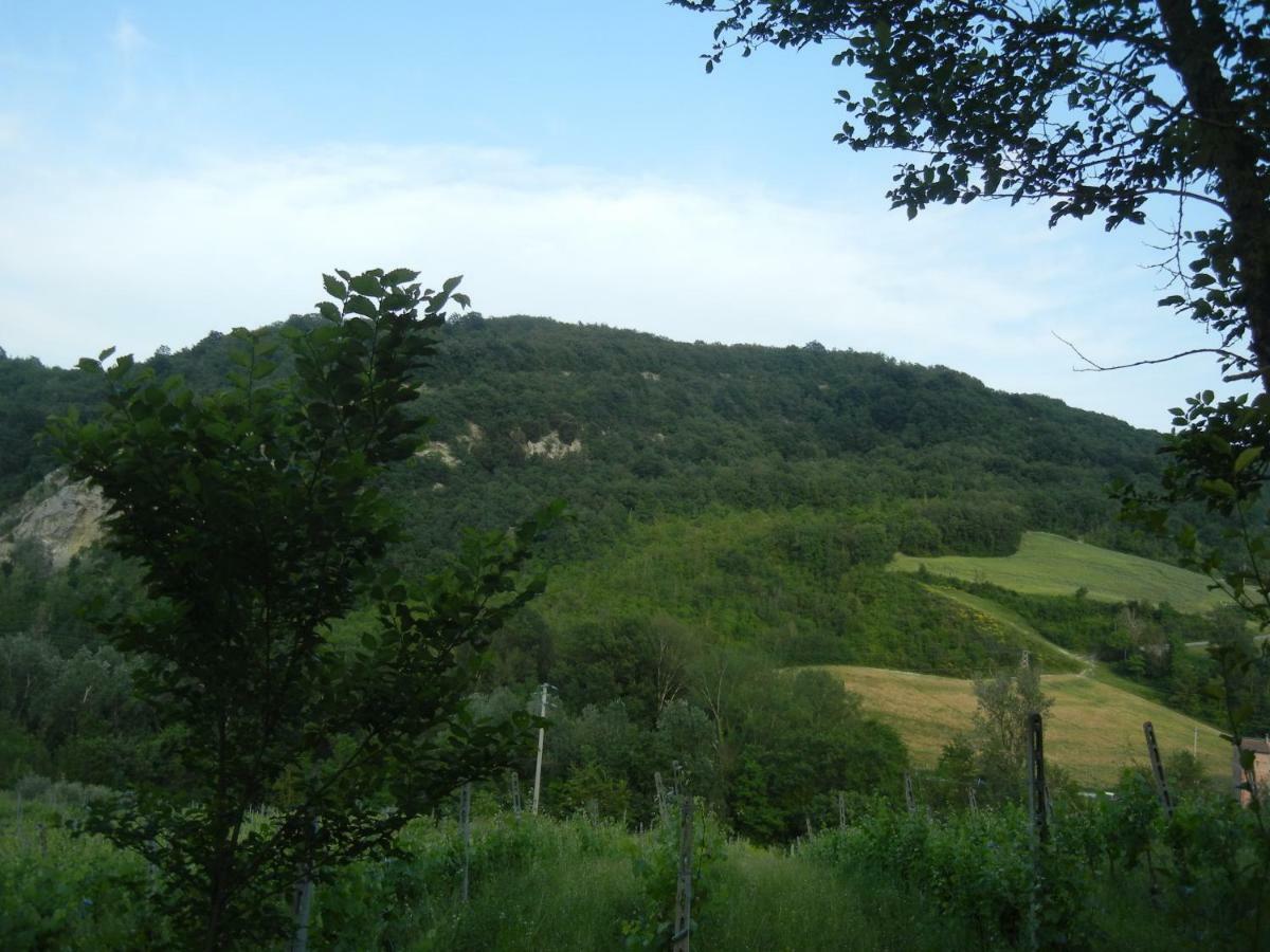 La Colombarola Agriturismo Farneto 外观 照片