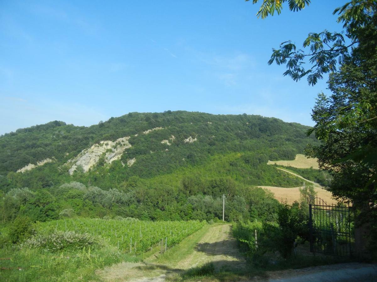 La Colombarola Agriturismo Farneto 外观 照片